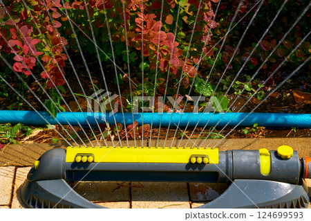 Sprinkler watering flowers on a hot day, Irrigation system,gardening 124699593
