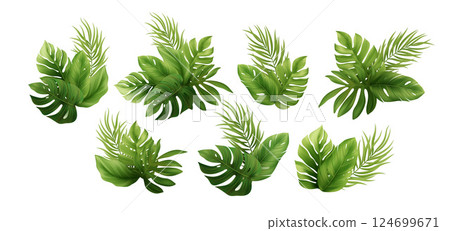 Vector Illustration of Tropical Green Leaves Arrangement on White Background Featuring Exotic Palms and Monstera Leaves for Natural and Summer Themes 124699671