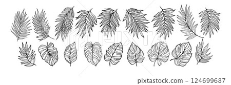 Collection of Hand-Drawn Tropical Leaves in Minimalist Vector Style for Graphic Projects. Vector illustration 124699687