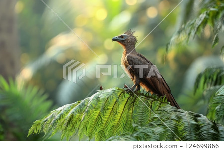 An Archaeopteryx stands tall and proud amidst the mist-shrouded ferns and greenery of a vibrant jungle ecosystem 124699866