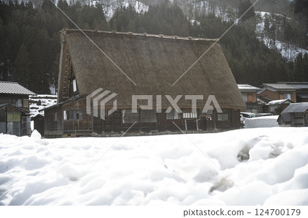 Winter Shirakawa Town 124700179