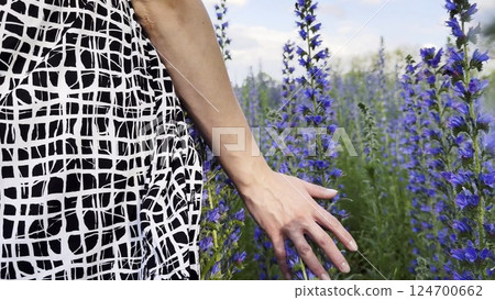 Female hand tenderly touching purple flowers at field. Woman moving her arm above blooming plants. Young girl strolling through floral meadow. Beautiful nature background. Close up Female hand tenderly touching purple flowers at field. Woman moving her arm above blooming plants. Young girl strolling through floral meadow. Beautiful nature background. Close up 124700662