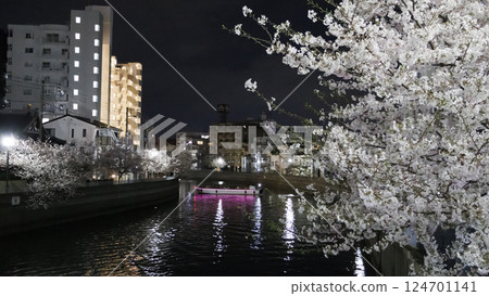 橫濱大岡川的夜櫻 橫濱大岡川的夜櫻 124701141