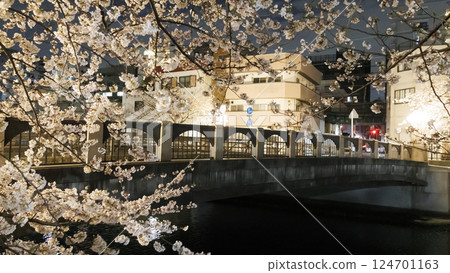 Cherry blossoms at night along Ooka River in Yokohama Cherry blossoms at night along Ooka River in Yokohama 124701163