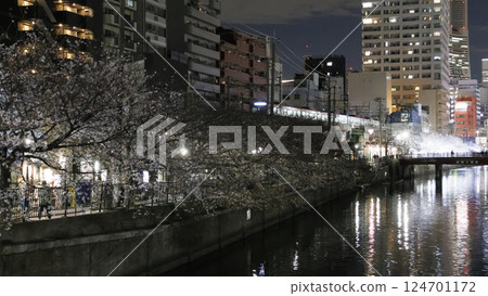Cherry blossoms at night along Ooka River in Yokohama Cherry blossoms at night along Ooka River in Yokohama 124701172
