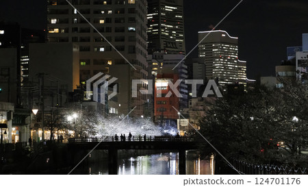 Cherry blossoms at night along Ooka River in Yokohama Cherry blossoms at night along Ooka River in Yokohama 124701176