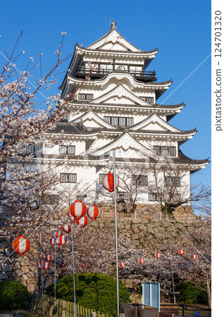 Fukuyama Castle and cherry blossoms in spring Fukuyama Castle and cherry blossoms in spring 124701320
