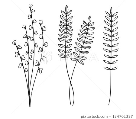 Hand-Drawn Twigs with Leaves in a Botanical collection.Vector illustration 124701357