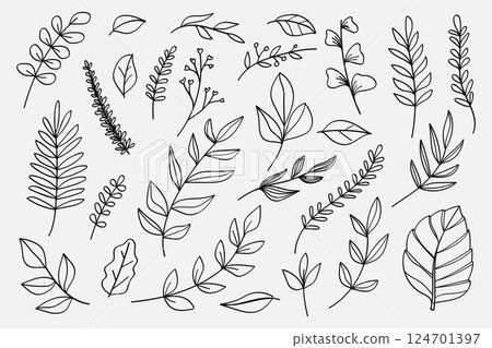 Set of twigs with leaves botanical hand- drawn collection.Vector illustration 124701397