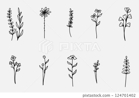 Hand-drawing botanical leaves line collection.Vector illustration. 124701402