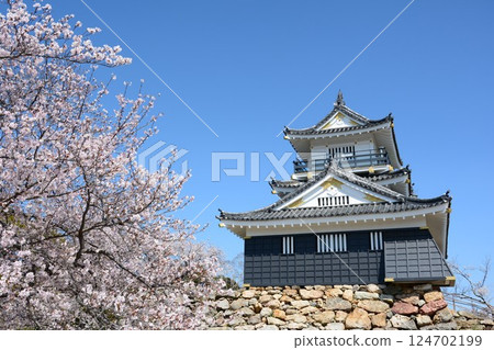 櫻花和濱松城堡盛開 124702199