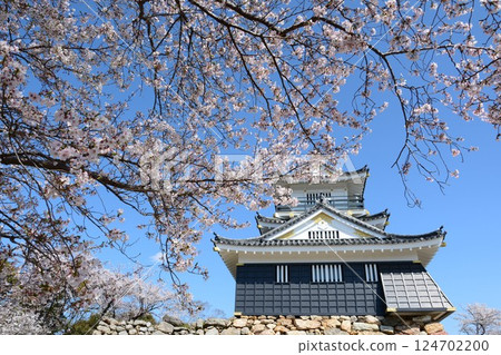 Cherry blossoms and Hamamatsu Castle in full bloom 124702200