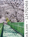 Cherry blossom tunnel 124702468