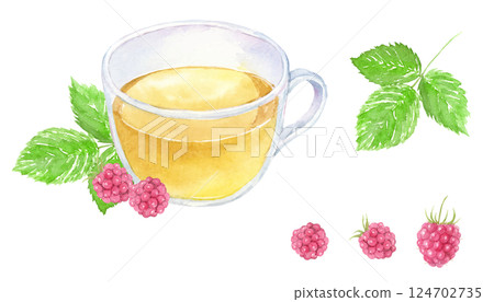 水彩覆盆子葉茶 124702735