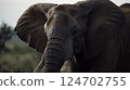 Close-up side view of the head of an elephant in the savannah. wild animals, AI-generated 124702755