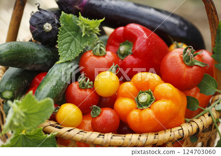 Harvested vegetables Harvested vegetables 124703060