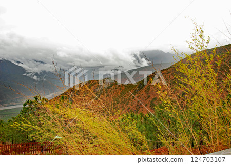 China, Yunnan Province, Shangri-La, Xiangge Liala Scenic Area, Jinsha River and Bamboo Forest 124703107