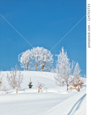 Winter scenery Winter scenery 124703733