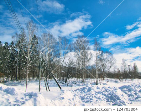 冬天的景色 124703804