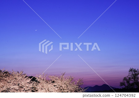 從櫻之丘眺望二條山 從櫻之丘眺望二條山 124704392