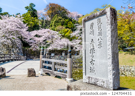 Shiga Hikone Castle Shiga Hikone Castle 124704431