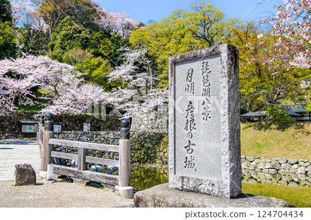 Shiga Hikone Castle 124704434