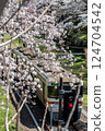 A Gotemba Line train running under cherry blossoms in full bloom 124704542