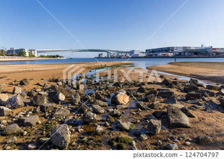 Scenery of the mouth of the Ashiya River in Ashiya City, Hyogo Prefecture Scenery of the mouth of the Ashiya River in Ashiya City, Hyogo Prefecture 124704797