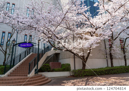 Flower Michi Flower Michi 124704814