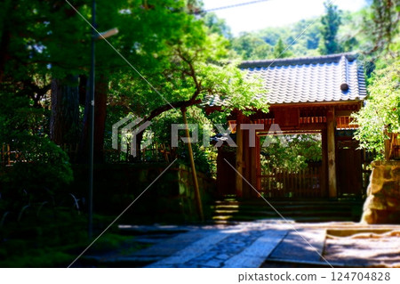 Walk along the mossy stone pavement approach of Jufukuji Temple, the third oldest temple in Kamakura Gozan Walk along the mossy stone pavement approach of Jufukuji Temple, the third oldest temple in Kamakura Gozan 124704828