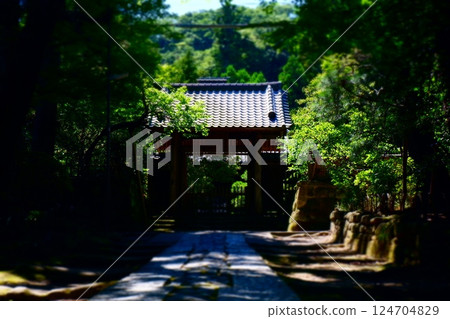 Walk along the mossy stone pavement approach of Jufukuji Temple, the third oldest temple in Kamakura Gozan Walk along the mossy stone pavement approach of Jufukuji Temple, the third oldest temple in Kamakura Gozan 124704829