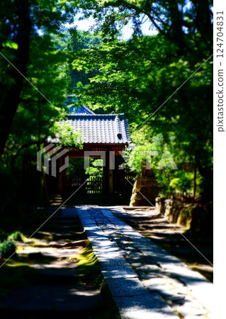 Walk along the mossy stone pavement approach of Jufukuji Temple, the third oldest temple in Kamakura Gozan 124704831