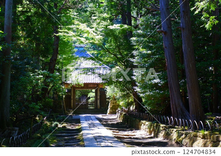 沿著鎌倉五山第三古老的寺廟——十福寺的青苔石鋪路走 124704834