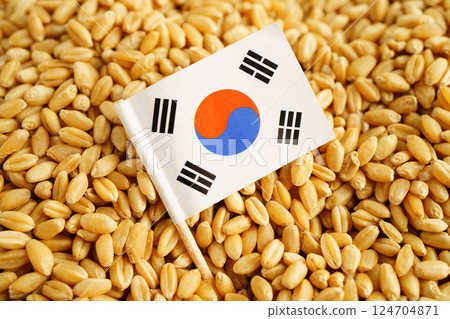 South Korea flag on grain wheat, trade export and economy concept. South Korea flag on grain wheat, trade export and economy concept. 124704871