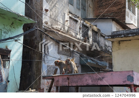 The streets of India The streets of India 124704996