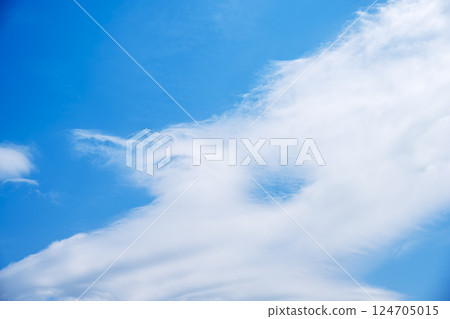 Spring sky Spring sky Blue sky Sunny April [Tokyo] 124705015