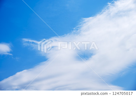 Spring sky Spring sky Blue sky Sunny April [Tokyo] 124705017