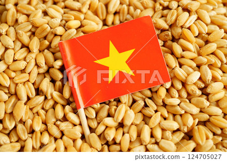 Vietnam flag on grain wheat, trade export and economy concept. 124705027