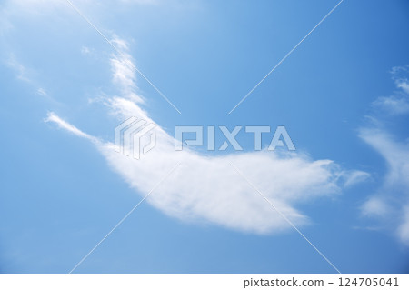 Spring sky Spring sky Blue sky Sunny April [Tokyo] 124705041