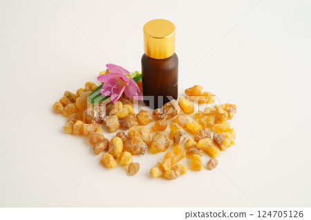 Frankincense or olibanum aromatic resin used in incense and perfumes. 124705126