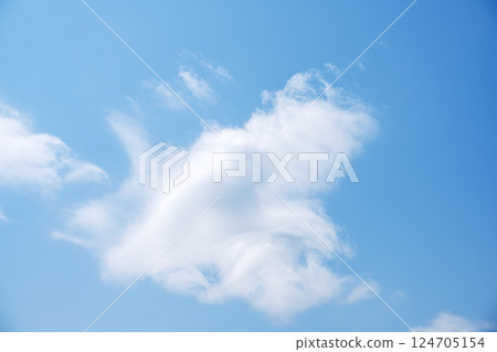 春天的天空 春天的天空 藍天 晴朗 四月 [東京] 124705154