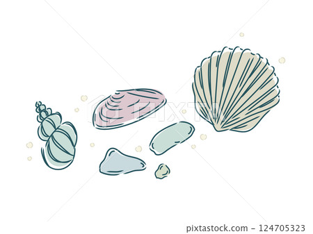 Stylish shells (conch, cherry shells, bivalve shells) and sea glass found on the beach Stylish shells (conch, cherry shells, bivalve shells) and sea glass found on the beach 124705323