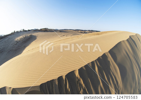 Wind pattern (Tottori dune) 124705583