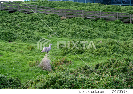 Nobis Centre, Melbourne, Victoria, Australia 2023 124705983