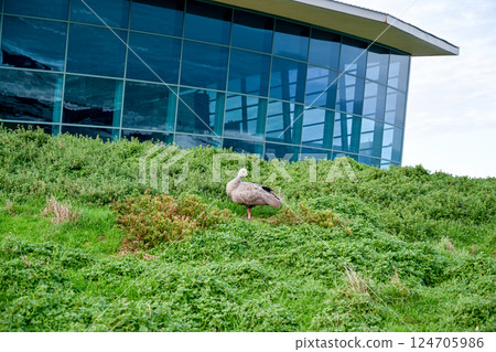 澳洲墨爾本維多利亞州-2023年澳洲墨爾本維多利亞州諾比斯中心 124705986