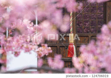 春天，京都長德寺地藏堂玻璃門上倒映著岡龜櫻花 124706019