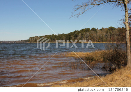 Lake Tyler near Whitehouse TX on Windy Winter Afternoon 124706246