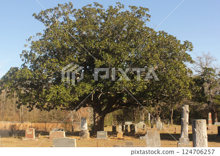 Historic Cemetery Located in Noonday TX Rural East TX 124706257