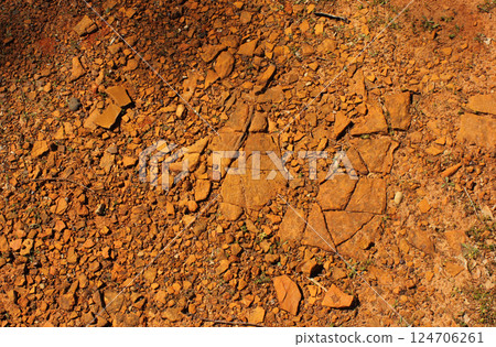 Red Dirt With Rocks and Gravel Background 124706261