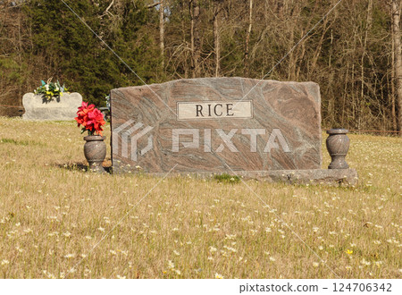 Rice on Headstone Death of Rice Concept Rice on Headstone Death of Rice Concept 124706342